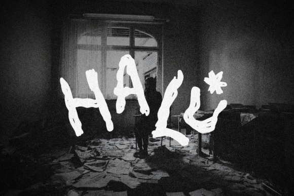 Elevate Your Visual Identity with the Unique Charm of Halu